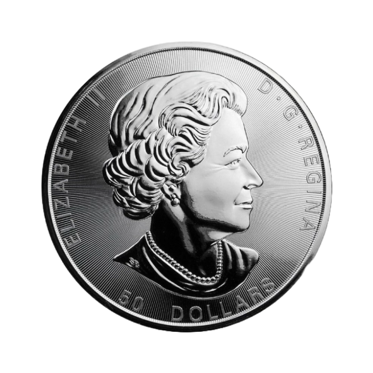 10 troy ounce zilveren Maple Leaf munt