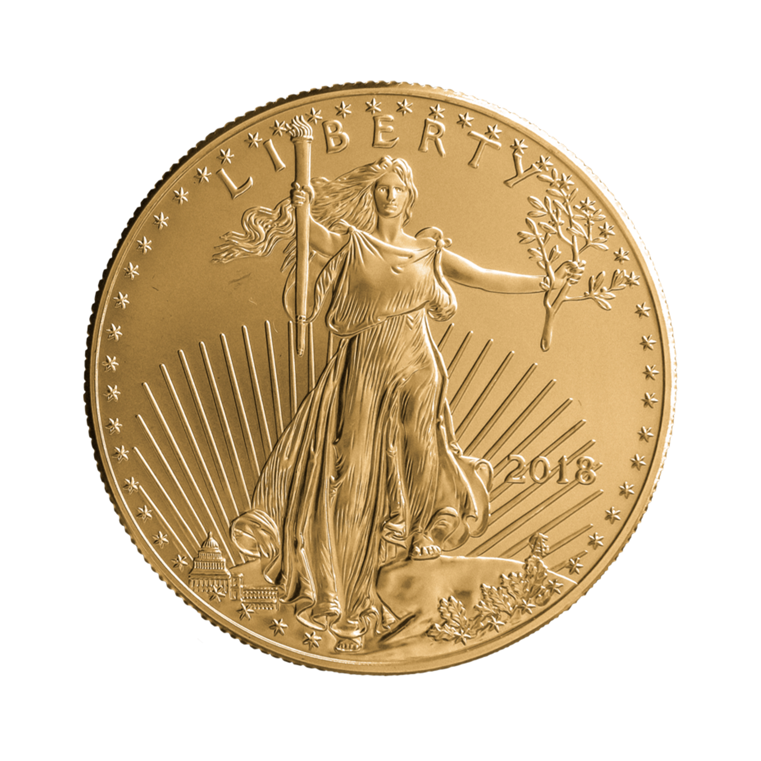 1 troy ounce gouden American Eagle munt