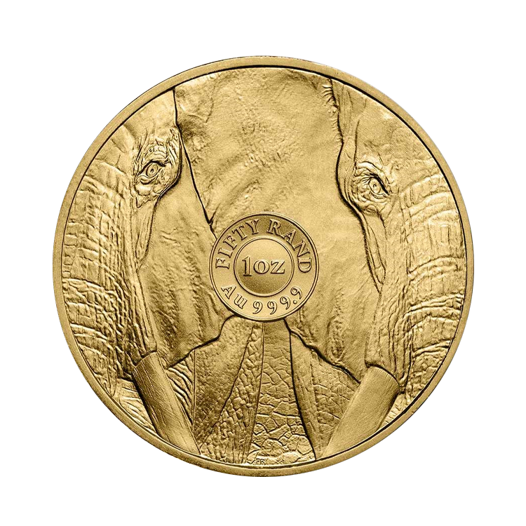 1 troy ounce gouden Big Five munt