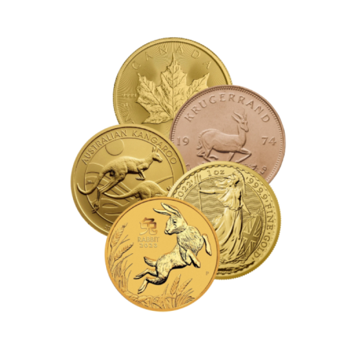 Diverse 1 troy ounce gouden munten