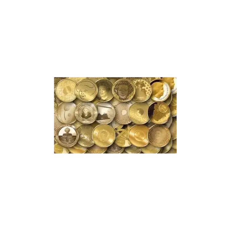 Gouden 10 euro munt Nederland